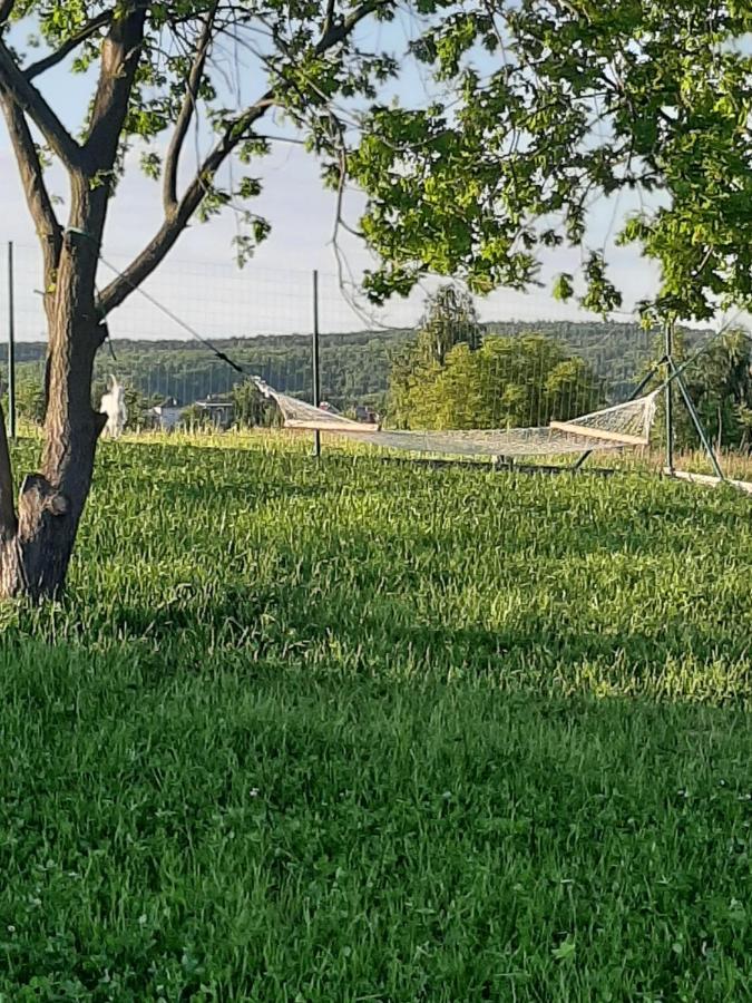 Gosp. Agroturystyczne Stary Gaj Villa Zerkowice Dış mekan fotoğraf