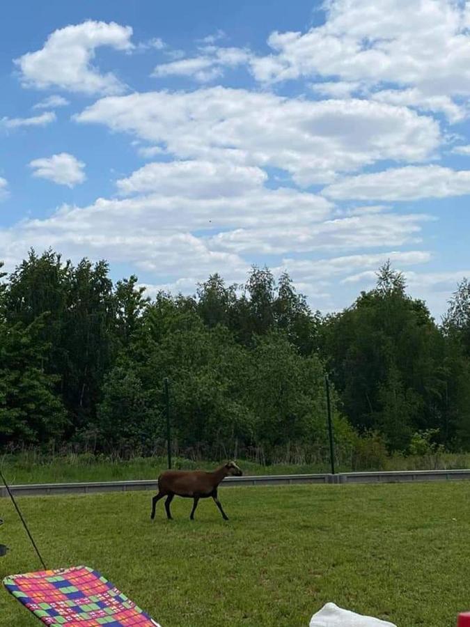 Gosp. Agroturystyczne Stary Gaj Villa Zerkowice Dış mekan fotoğraf