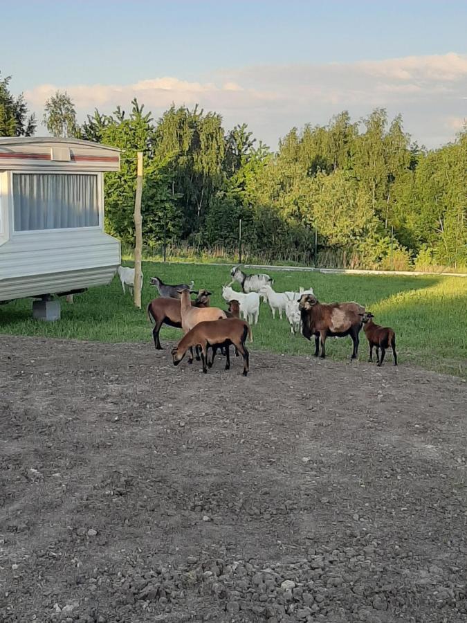 Gosp. Agroturystyczne Stary Gaj Villa Zerkowice Dış mekan fotoğraf