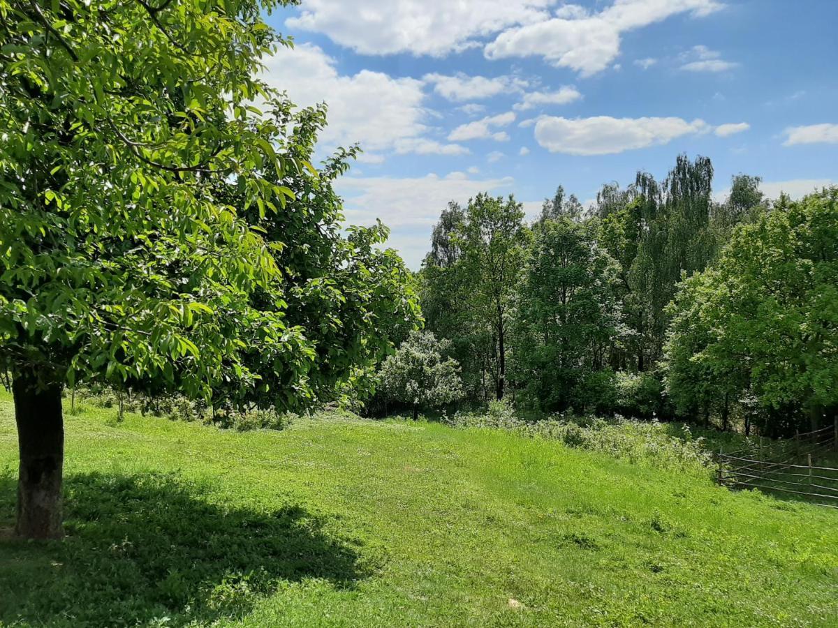 Gosp. Agroturystyczne Stary Gaj Villa Zerkowice Dış mekan fotoğraf