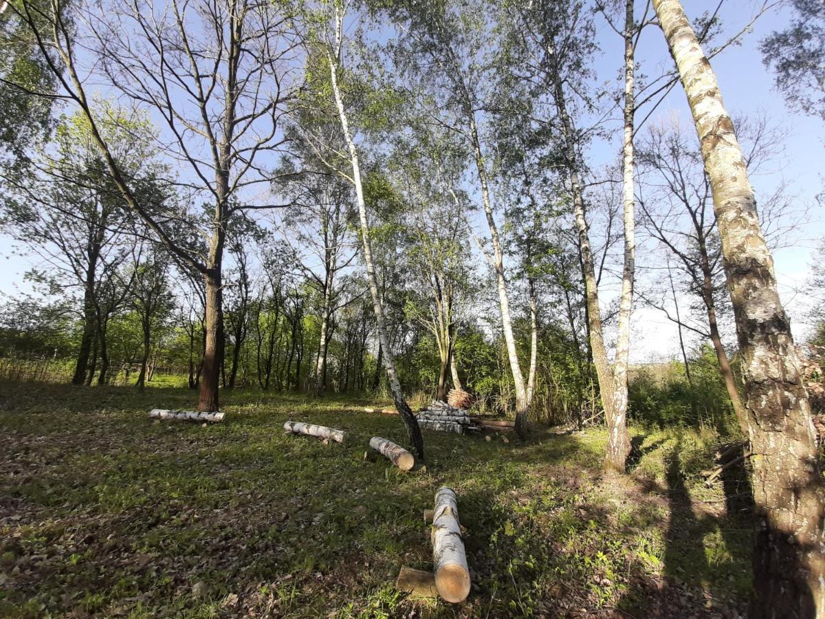 Gosp. Agroturystyczne Stary Gaj Villa Zerkowice Dış mekan fotoğraf