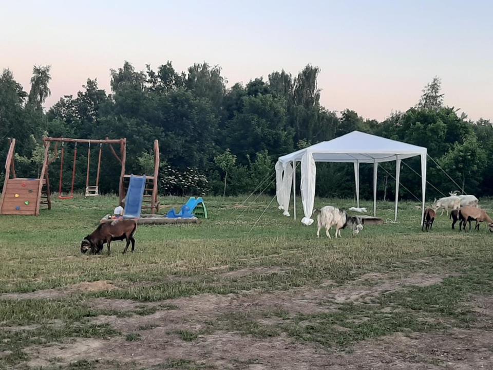 Gosp. Agroturystyczne Stary Gaj Villa Zerkowice Dış mekan fotoğraf