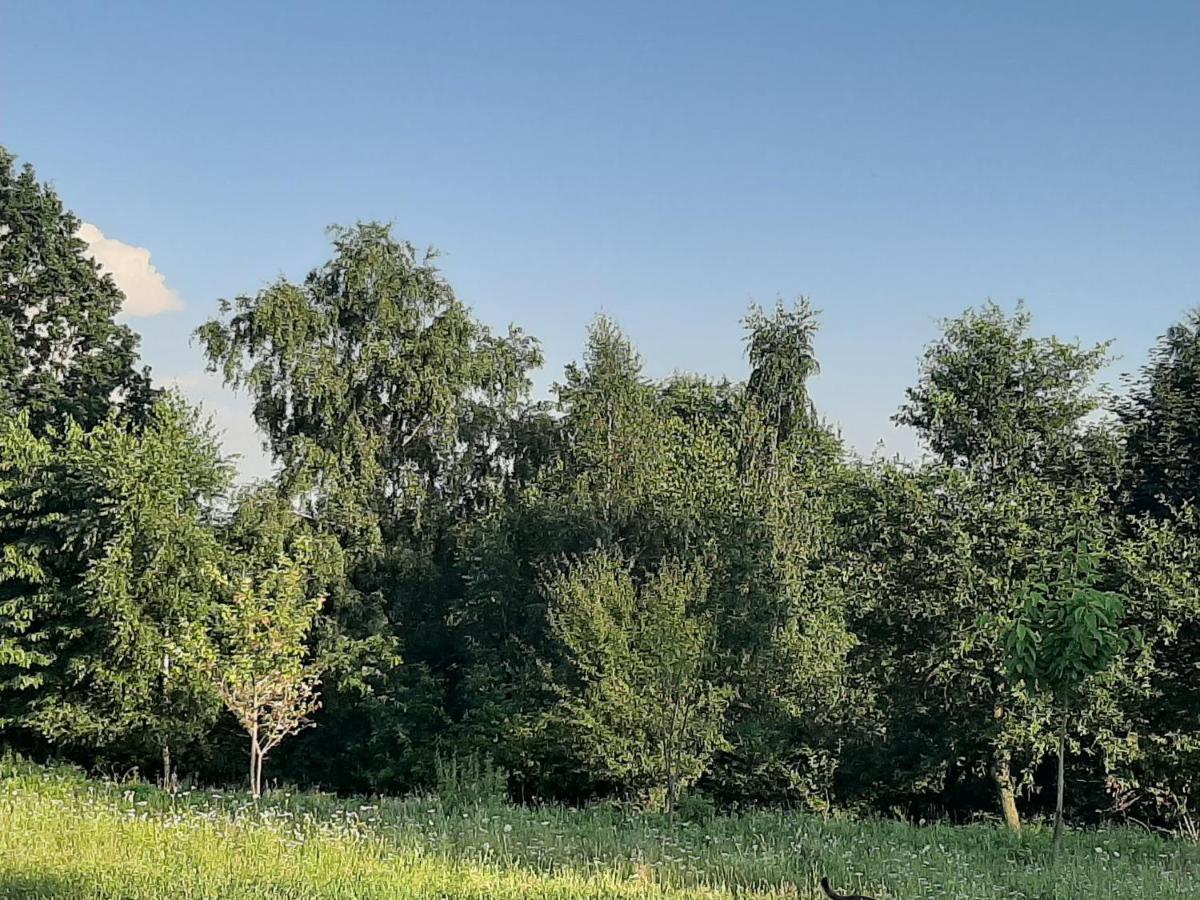 Gosp. Agroturystyczne Stary Gaj Villa Zerkowice Dış mekan fotoğraf